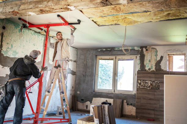 Best Commercial Insulation in Louisburg, KS